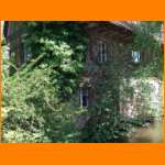 k-DSCF0809.JPG