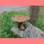 k-DSCF1362.JPG